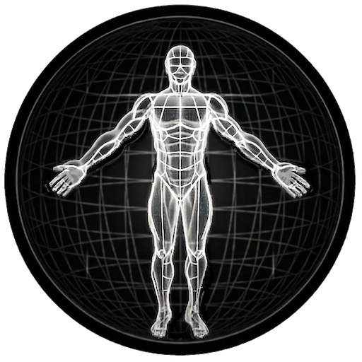 BodBot IA Entrenador Personal