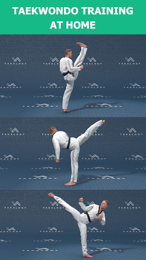 Captura de pantalla de Taekwondo : Artes Marciales