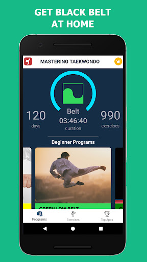 Captura de pantalla de Taekwondo : Artes Marciales